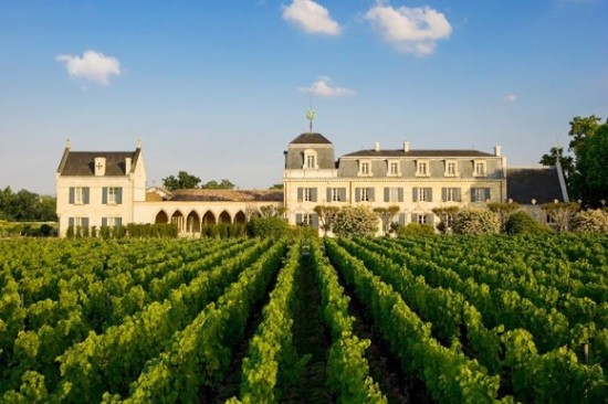 生物动力,道法天然——葡萄酒生物动力法栽培