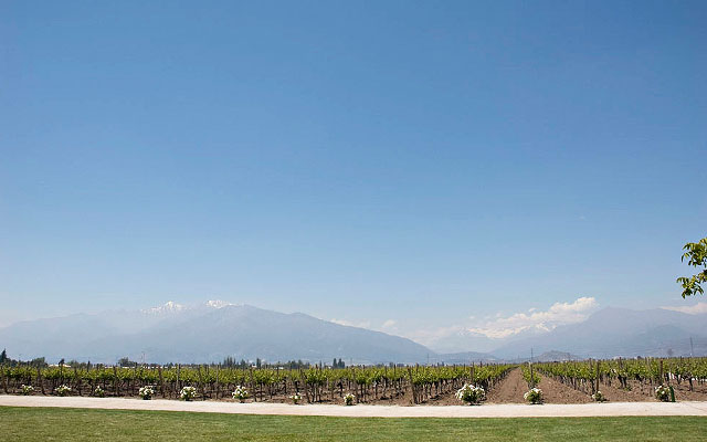 ֮ Almaviva 2012