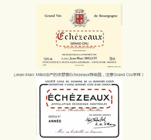 ��Ƥŵ�벪�޵����ѾƷּ�